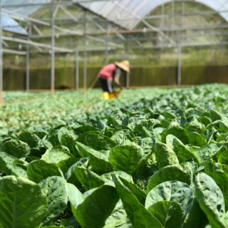 水と洗剤の使用量を減らす