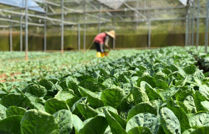 水と洗剤の使用量を減らす