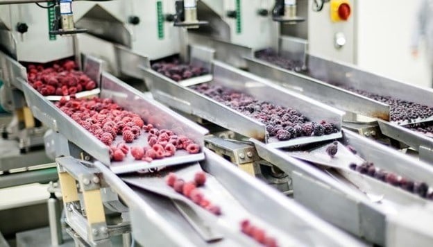 Innovative food processing equipment ensuring efficiency, hygiene and quality in every step