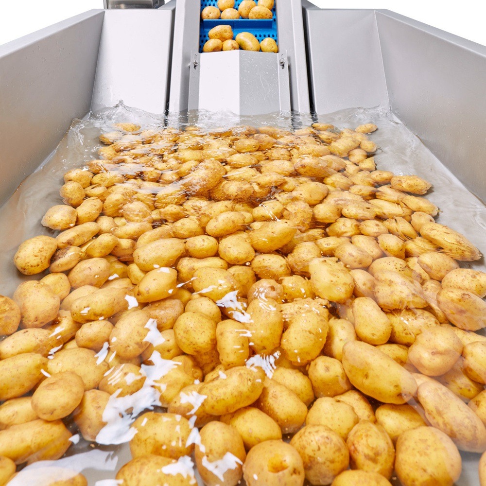 Potato washing drying and sorting machine